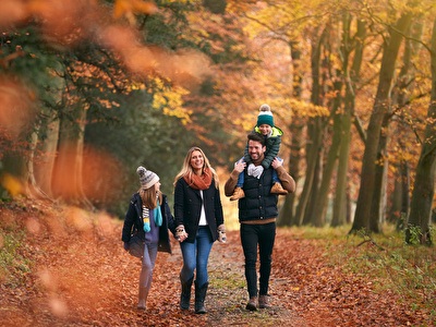 Make the most of autumn